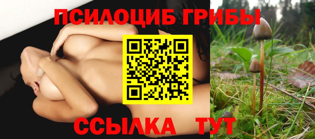 Псилоцибиновые грибы ЛСД  где купить   Галлюциногенные грибы прущие грибы  Клинцы  Вход с VPN 